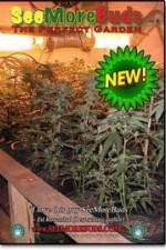 Watch SeeMoreBuds: Vol. 3 9movies