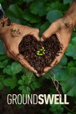 Watch Groundswell 9movies