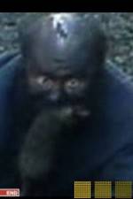 Watch The Legend of Catman 9movies