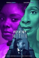Watch The Perfect Mother 9movies