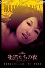 Watch Night of the Felines 9movies