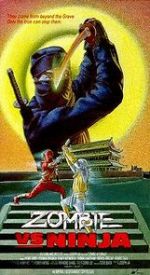 Watch Zombie vs. Ninja 9movies