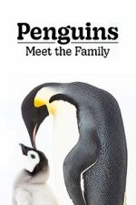 Watch Penguins: Meet the Family 9movies