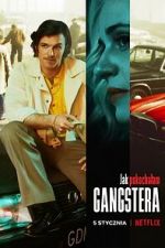 Watch How I Fell in Love with a Gangster 9movies