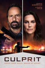 Watch Culprit 9movies