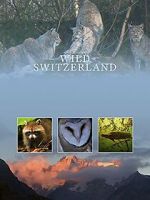 Watch Wilde Schweiz 9movies