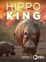 Watch Hippo King 9movies