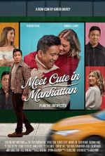 Watch Meet Cute in Manhattan 9movies