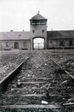 Watch AUSCHWITZ: FRENZIED KILLING 9movies