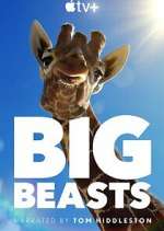 Watch Big Beasts 9movies