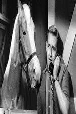 Watch Countdown to... 9movies