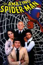 Watch The Amazing Spider-Man 9movies