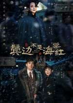 Watch Winter Begonia 9movies