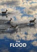 Watch The Flood 9movies