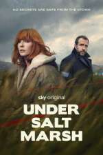under salt marsh season 1 episode 5 tv poster