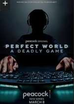 Watch Perfect World: A Deadly Game 9movies