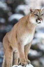 Watch Race of Life 9movies