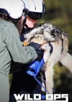 Watch Wild Ops 9movies