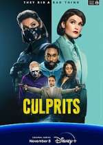 Watch Culprits 9movies