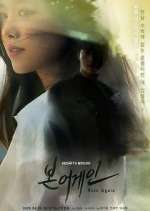 Watch Born Again 9movies