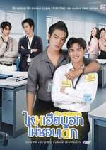 Watch My Stubborn 9movies