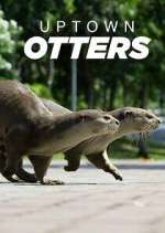 Watch Uptown Otters 9movies