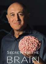 Watch Secrets of the Brain 9movies