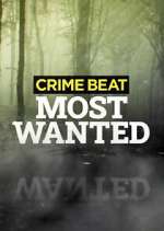 Watch Crime Beat: Most Wanted 9movies